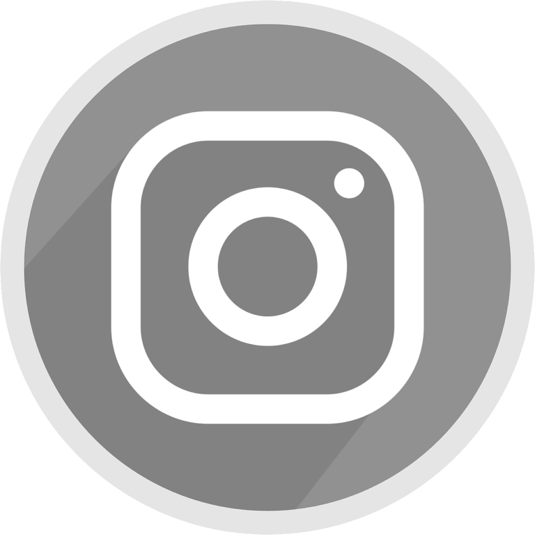 Instagram-Logo-Gris